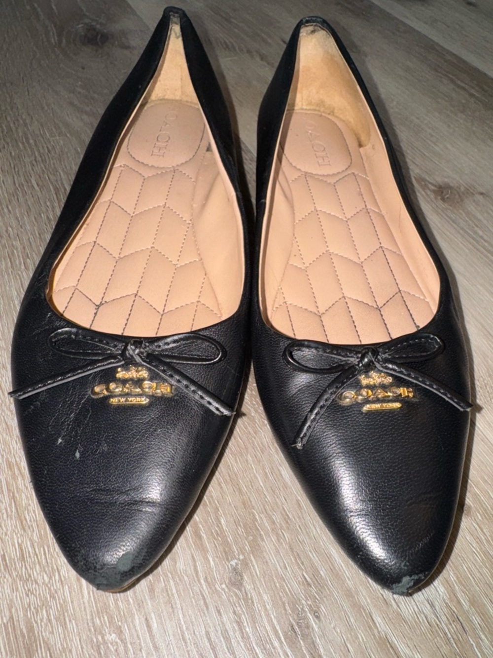 Coach Women's Black Leather Pointed Toe Ballet Flats Size7